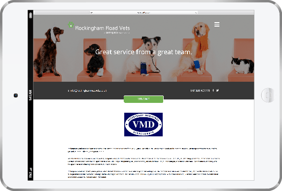 Website Example on Tablet