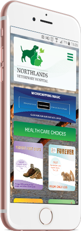 Northlands Website Responsive Example